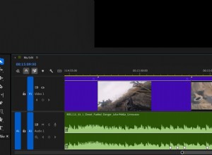 Master Premiere Pro Audio Editing:5 professionele trucs voor snellere resultaten 