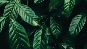 April Social Media Content Kalender:Video-ideeën voor merken 