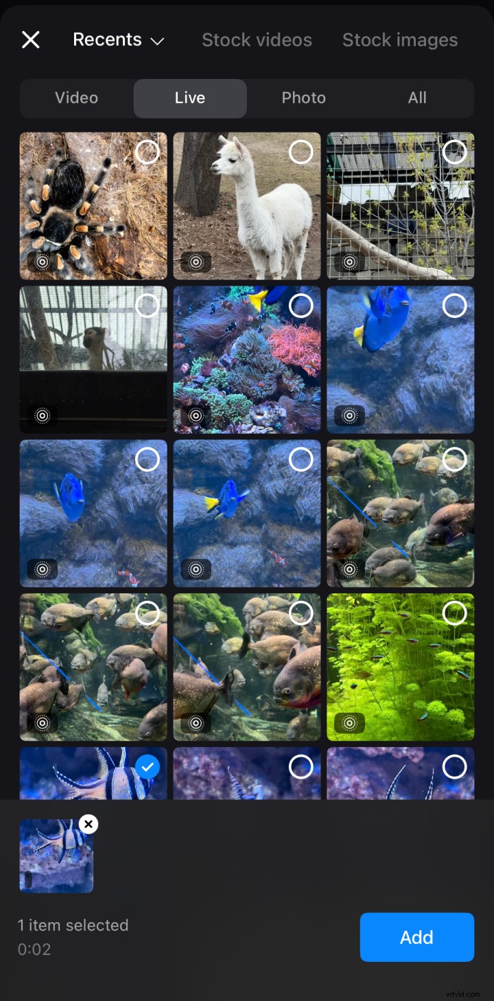 Convertire foto live in video:una guida semplice 