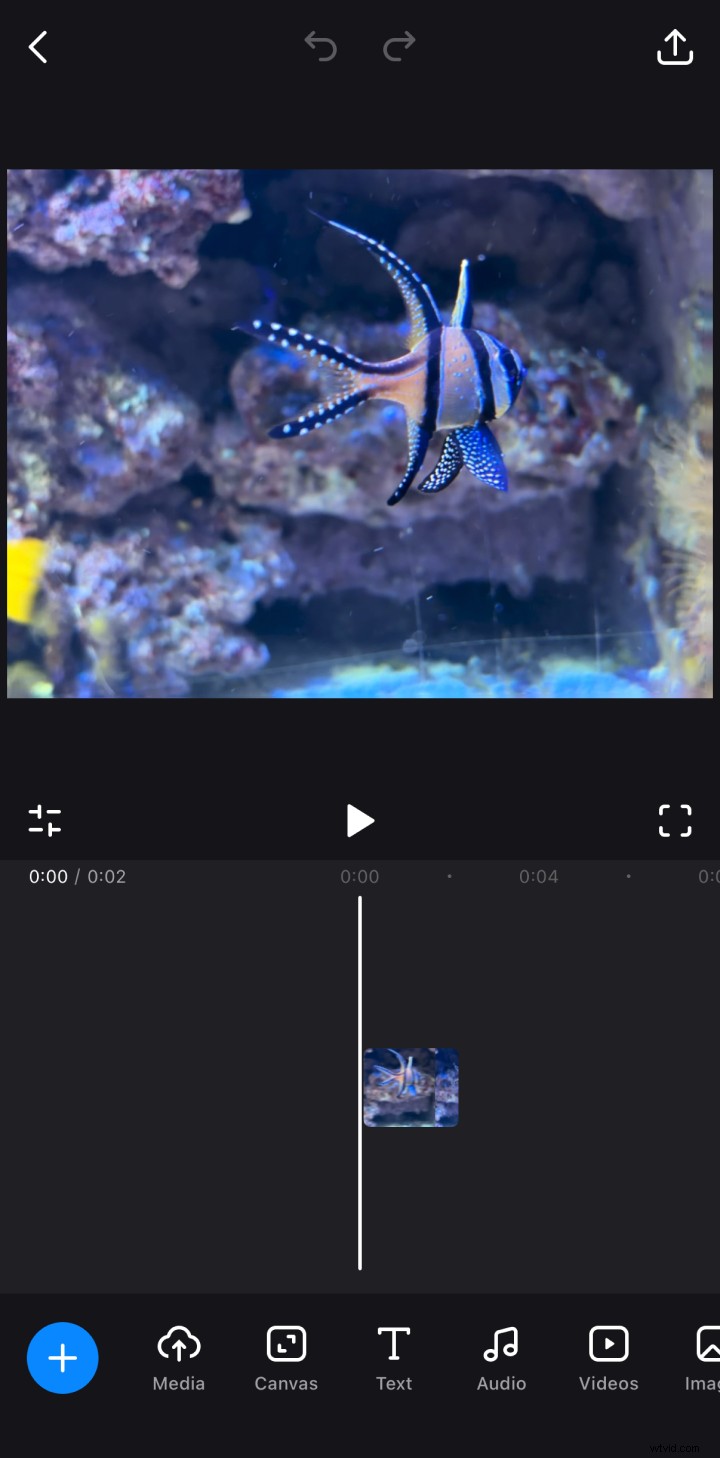 Convertire foto live in video:una guida semplice 