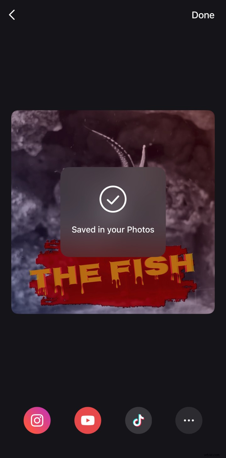 Convertire foto live in video:una guida semplice 