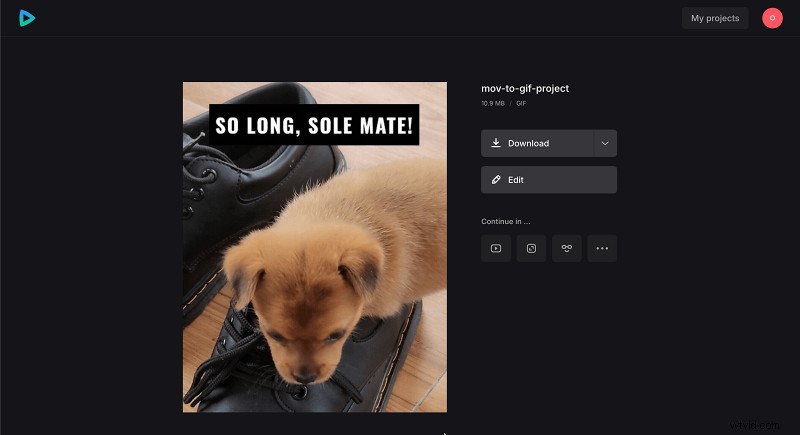 Verander MOV naar GIF op Apple-apparaten:snelle, betrouwbare methoden