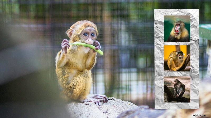 Picture-in-Picture (PIP)-video s beheersen:een uitgebreide gids 