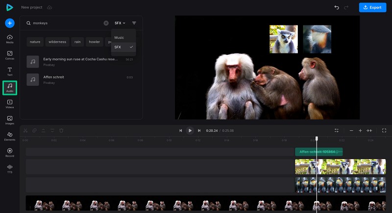 Picture-in-Picture (PIP)-video s beheersen:een uitgebreide gids 