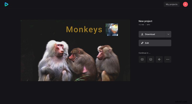 Picture-in-Picture (PIP)-video s beheersen:een uitgebreide gids 