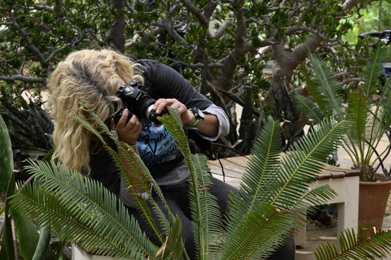 Natuurlijk licht beheersen in fotografie:een uitgebreide gids 