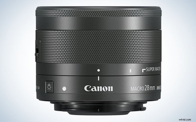 Canon マクロレンズ 2023:DSLR およびミラーレス向けのトップピック 