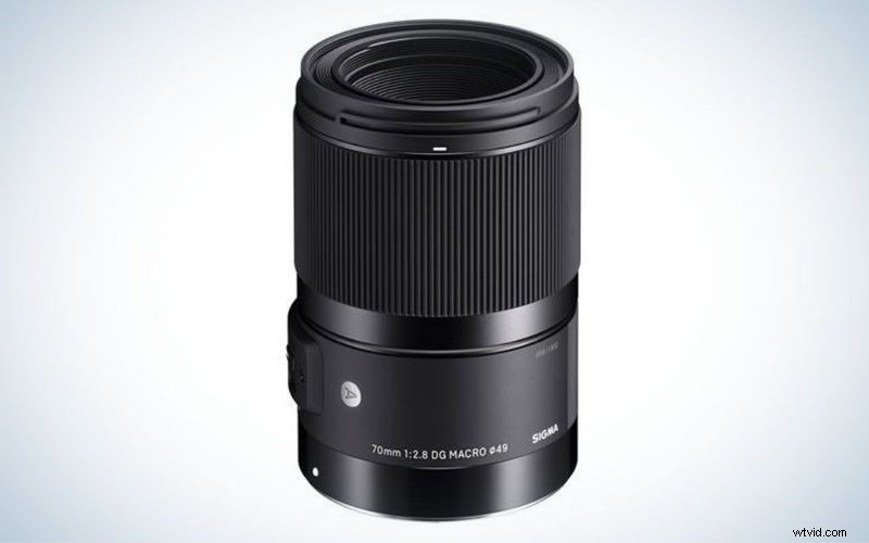 Canon マクロレンズ 2023:DSLR およびミラーレス向けのトップピック 