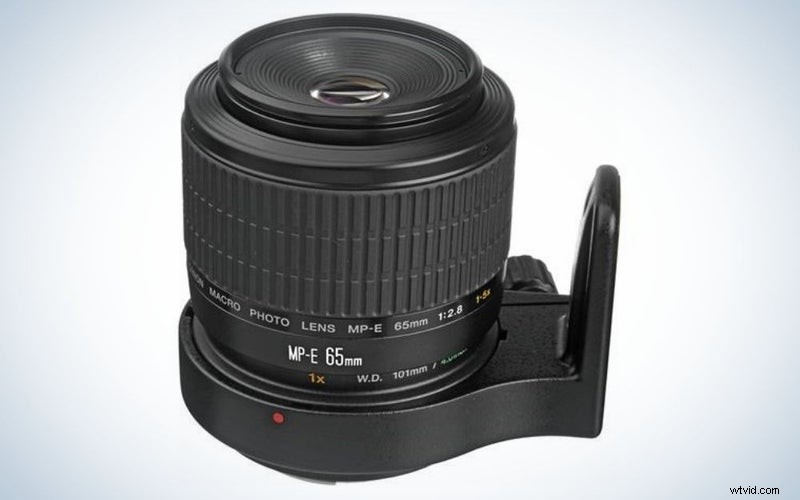 Canon マクロレンズ 2023:DSLR およびミラーレス向けのトップピック 