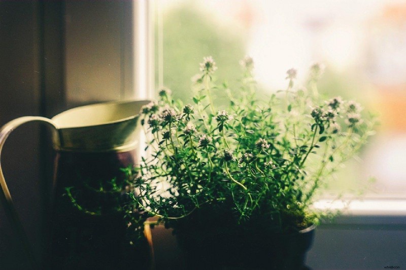 写真のダイナミック レンジ:光の理解、管理、習得 