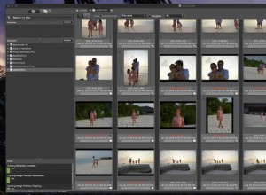 写真整備士によるマスター画像の選別:迅速な写真管理のためのプロフェッショナル ガイド 