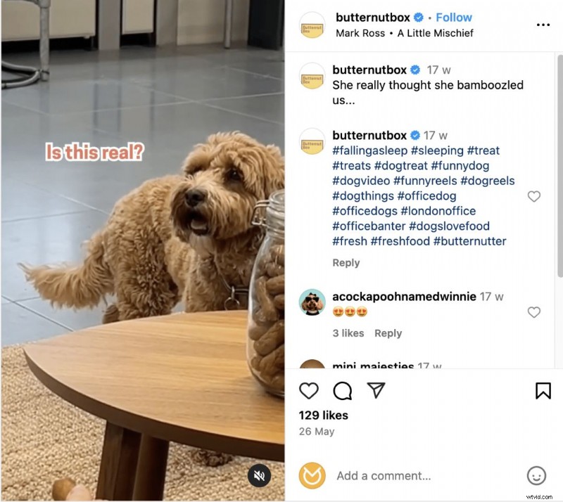 ビジネスを向上させるための 17 の実証済みの Instagram リール戦略 