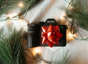 Elegir su primera cámara sin espejo:consejos de expertos para fotógrafos 