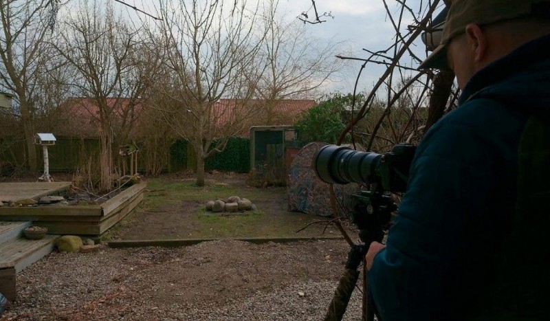 Ultimate Backyard Bird Photography:Utrustning, inställningar och inställningar för fantastiska resultat 