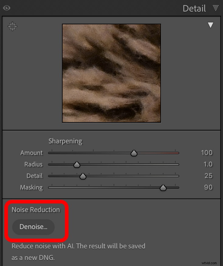 Denoise impulsado por IA de Lightroom:una revisión completa 