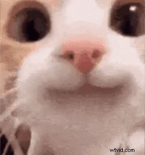 マスター GIF 最適化:品質の向上とファイル サイズの縮小 